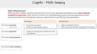 Cognito MultiTenancy  AWS Course [upl. by Ethelind]