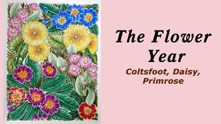 Colouring The Flower year Daisies and Primroses  Раскраскаантистресс [upl. by Christenson]