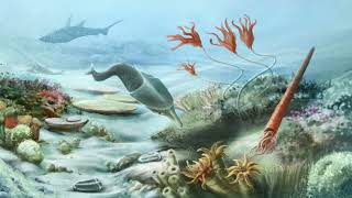 History of the Earth Part 2 Phanerozoic Eon – Paleozoic Era [upl. by Polish906]