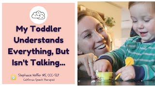 My Toddler Understands But Isn’t Talking Learn How To Help From A Speech Therapist [upl. by Cheshire957]