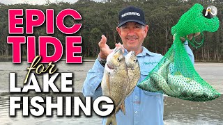 This DELICATE bait is DEADLY effective on Bream Whiting amp More [upl. by Ilan]