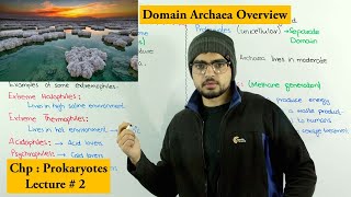 Archaea domain Archaea  Extremophiles [upl. by Bunow943]