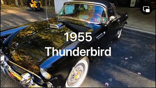 1955 T Bird 53000 Original Miles 🔥Beautiful Car [upl. by Andaira324]