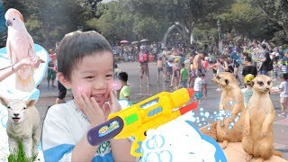 樂園 小陶德去六福村打水戰！看可愛動物坐旋轉木馬好好玩！Animal Zoo Theme Park Play  沛莉 [upl. by Rennold177]