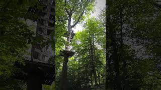 Adventures at New Heights Extreme Treetops Climbing Emily treetops climbing usa [upl. by Fabriane456]