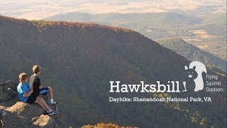 Hawksbill  Dayhike Shenandoah National Park VA [upl. by Franzen931]