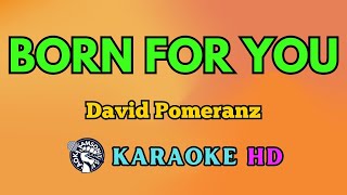 Born for You KARAOKE by David Pomeranz 4K HD samsonites [upl. by Niawtna]