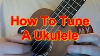 How to Tune A Ukulele [upl. by Ahsim578]