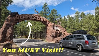 BEARIZONA 🐾 A Bear Came Right Up to the Van  DogFriendly Drive Thru Wildlife Park in Williams AZ [upl. by Leimaj]