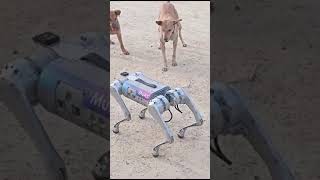 QUADRUPED ROBOT 🤖 IIT Kanpur Techkriti 2024 New invention by IITains iitkanpur techkriti [upl. by Calie668]