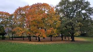 Stadtpark Schöneberg [upl. by Yllaw]