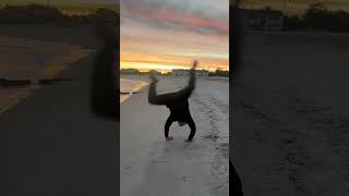 Kicking Back Handspring [upl. by Micah]