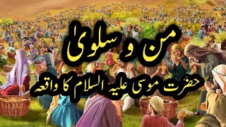 hazrat Musa Ali Salam ka waqia ll Manosalwa ll Il jannati khana ll mojza ll stories [upl. by Liagabba]