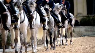 Cómo bailan los caballos andaluces [upl. by Hermia26]