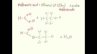 Esters  Essential Organic Chemistry [upl. by Ewall661]