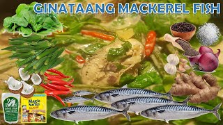 Spicy Ginataan Mackerel Fish [upl. by Arty]