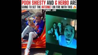 Pooh Shiesty amp G Herbo  Switch It Up Official Music Video Snippet [upl. by Aramac]