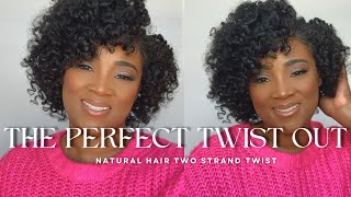 The Perfect Twist Out Tutorial on 4C Natural Hair StepbyStep Guide for Stunning Results [upl. by Ammadis]