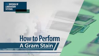 How to Perform a Gram Stain [upl. by Nagy]