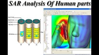 How to Calculate SAR on body phantom  SAR Analysis [upl. by Nadabus]