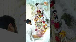 राधावल्लभ श्रीहरिवंश premanandmaharajji [upl. by Lash]