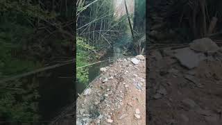 12ft Tall Retaining Wall Fail [upl. by Gherardo]