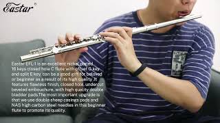 Eastar EFL1 Flutes For Beginners [upl. by Sivraj]