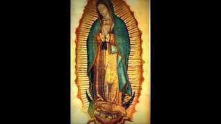 Melodía en el manto de la virgen de guadalupe [upl. by Joanie]