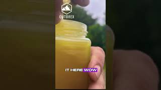 Local Honey Tasting HONEST Local Honey Review 🍯 shorts honeytasting dartmoor honey outdrex [upl. by Hassett]