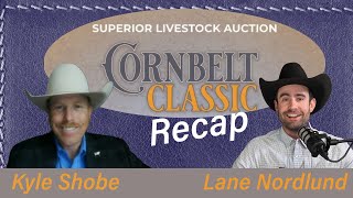 Exceptional Cattle Prices 2024 Corn Belt Classic [upl. by Ahsinirt]