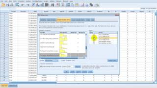 Data Validation  SPSS 21 [upl. by Pinelli1]