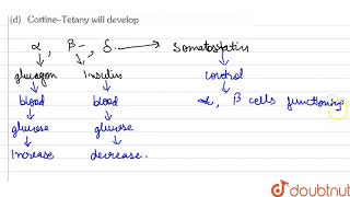 In case the islets of Langerhans stop functioning which hormone will be in short supply [upl. by Eimmak]