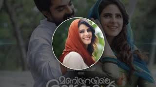 Olu song maniyarayile ashokan EDM remix [upl. by Crist38]