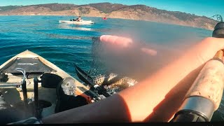 Fort Ross Fishing Lingcod Rock cod limits [upl. by Wiltsey]