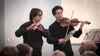 A Vivaldi  Concerto for Flute Oboe Violin Bassoon amp Continuo in C [upl. by Emil]