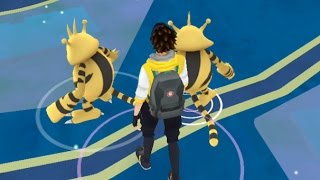 INSANE 5 Wild Electabuzz Spawns in 5 Minutes Pokemon GO November Event [upl. by Einiffit297]