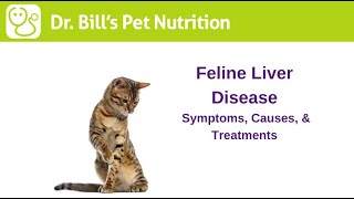 Feline Liver Disease  Symptoms Causes amp Treatments  Dr Bills Pet Nutrition  The Vet Is In [upl. by Raymund]