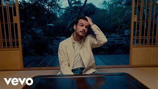 Rex Orange County  Finally Video [upl. by Januisz]