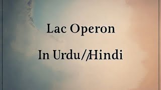 Regulation Of lac Operon  Regulation of Gene Expression  In Urdu or Hindi 🆗 [upl. by Pedro336]