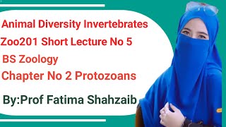 Phylum Apicomplexalife cycle of parasitesZoo201 Vu short lectureZoology by Fatima Shahzaib [upl. by Tillie340]