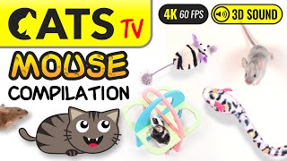 GAME FOR CATS  The Best MOUSE Compilation 🐭🙀 4K 60FPS Cats TV [upl. by Harpp]