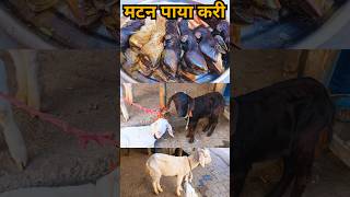 बिहारी स्टाइल मटन पाया रेसीपी  Mutton Paya Recipe  Mutton Paya Curry  Goat Trotters shorts [upl. by Atirys]