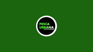 PESCA URBANA UNBOXING EN VIVO [upl. by Yejus927]