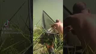 romania moldova foryou best fishing [upl. by Aihsal314]