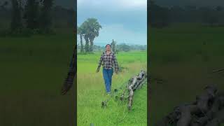 Tham ke baras song music hindisong [upl. by Aciretnahs48]