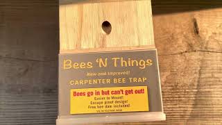 Bees N Things Carpenter Bee Trap Bees Go In But Can’t Get Out [upl. by Grobe]