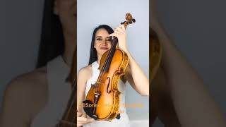 Soriexperience Entre dos aguas violin cover MJ Pareja [upl. by Akienat]