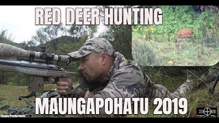 Red Deer Hunting  Maungapohatu Mar 2019 [upl. by Arais]