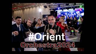 Program de ascultare Liviu de la Orboiesti si Orient OrchestraStrainatate Am o dambla [upl. by Ycal512]