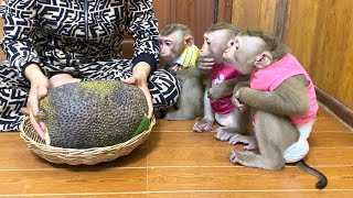 Grade A Jackfruit SpeciaIIy Opted For The Only Trio Lunch [upl. by Reteip827]